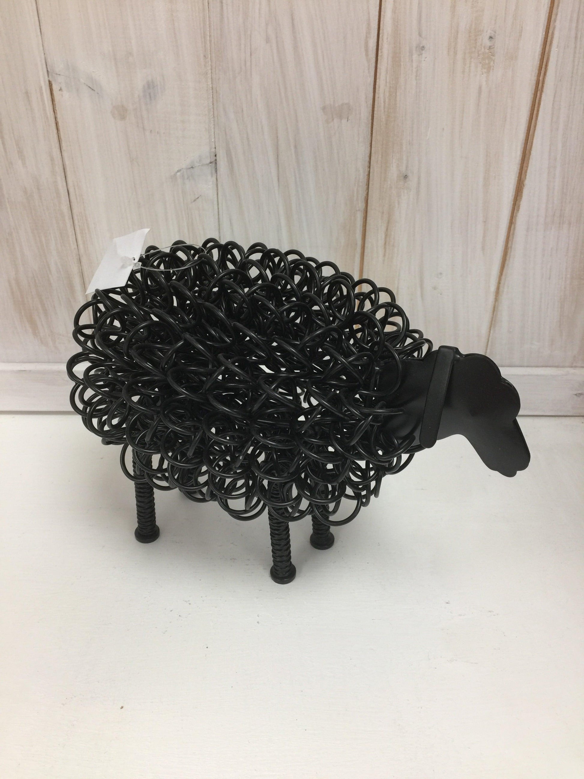 Wiggle Sheep - The Coast Office