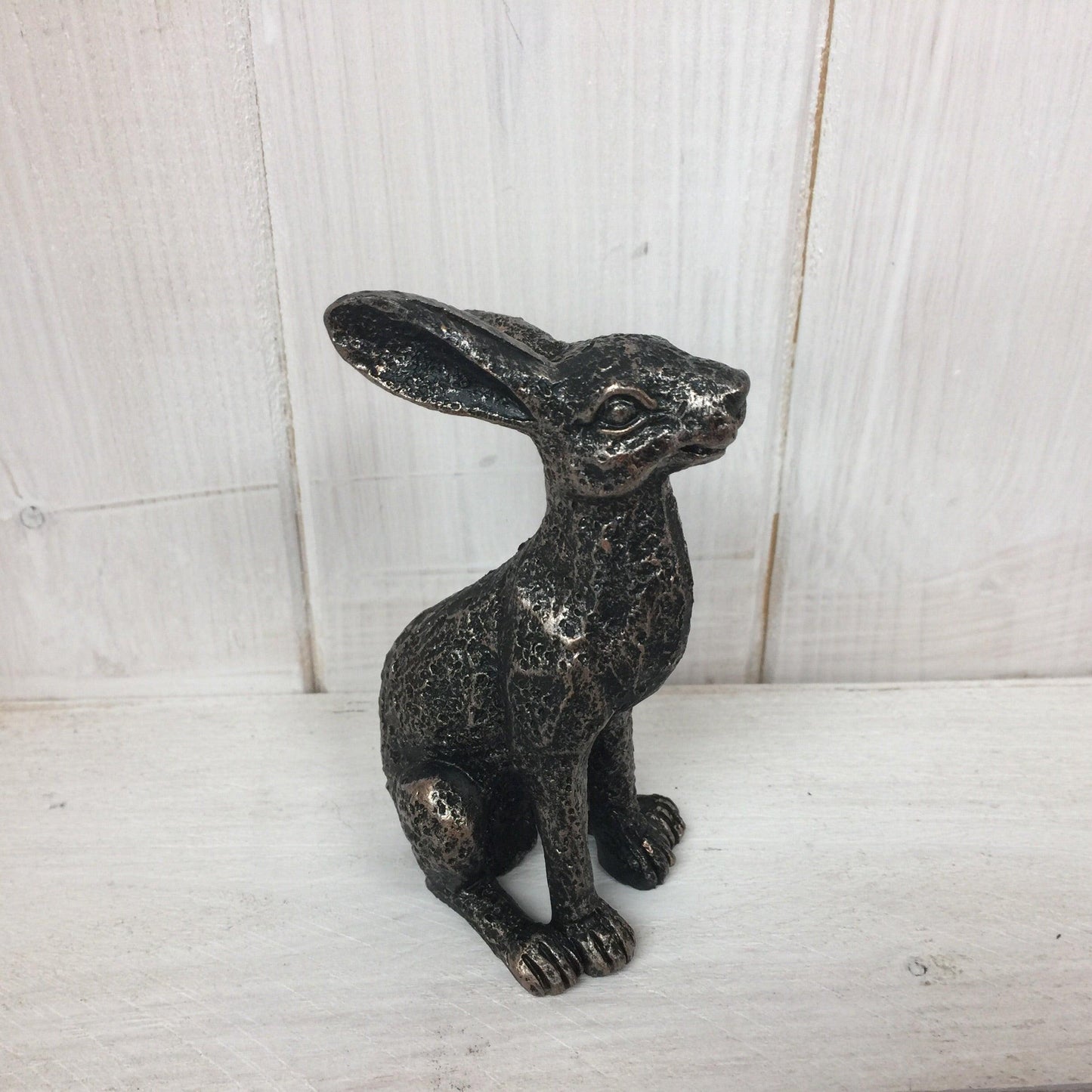 Miniature Hares - The Coast Office