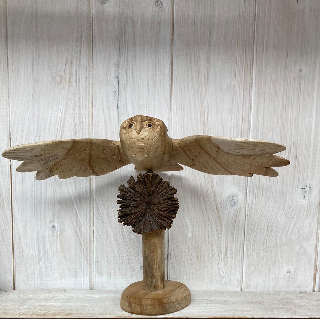 Flying Owl - The Coast Office
