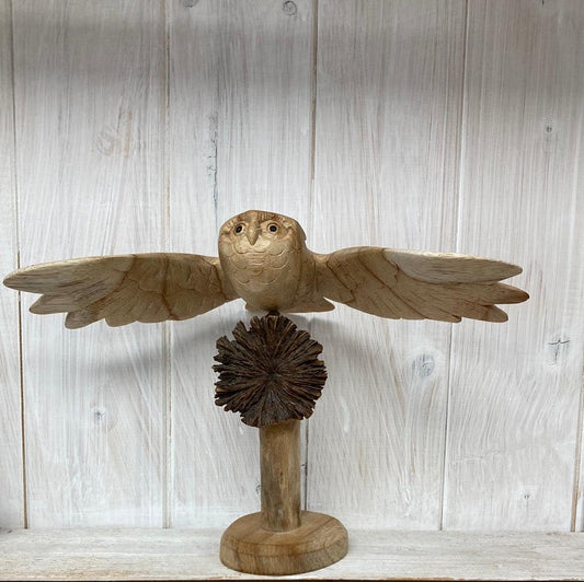 Flying Owl - The Coast Office