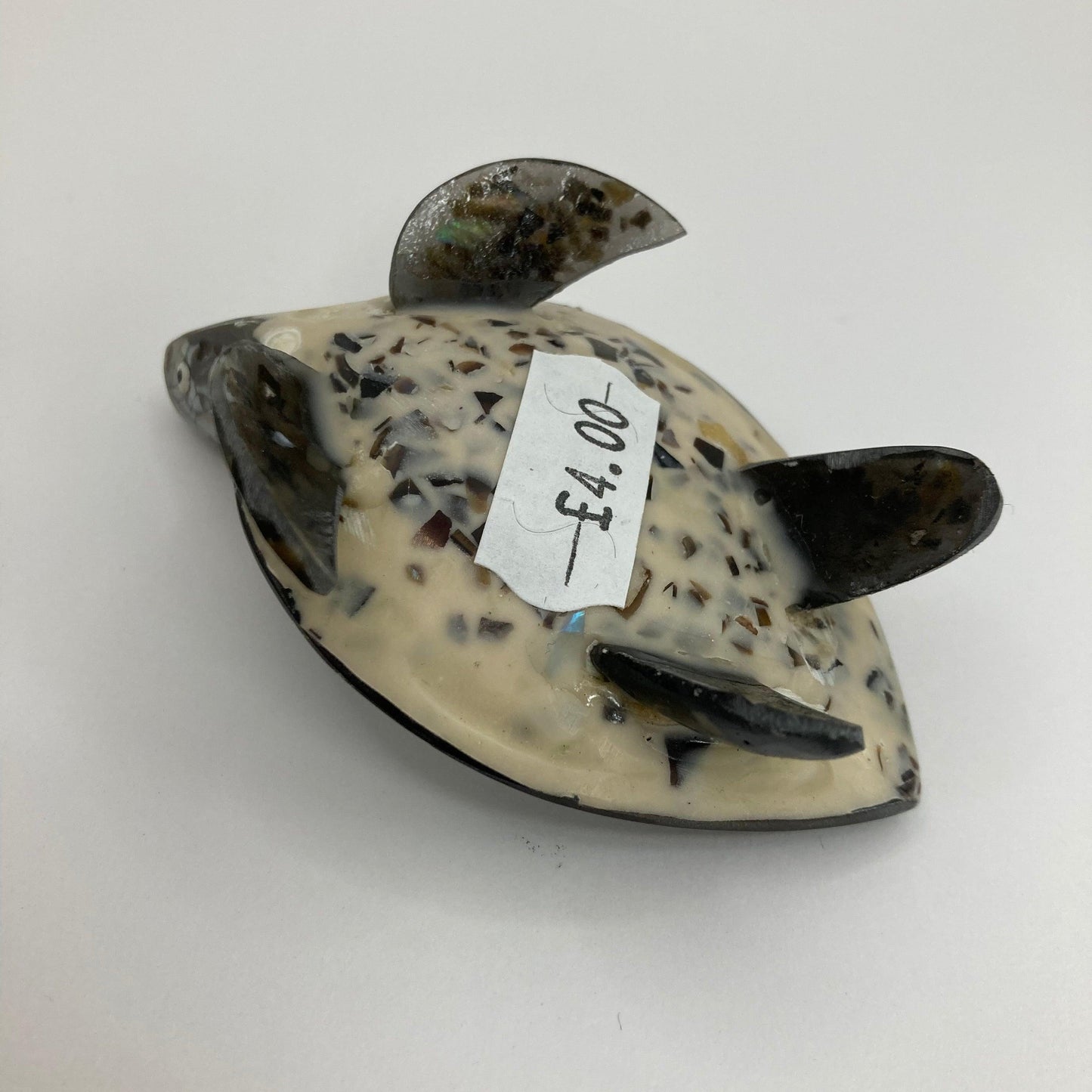Shell Turtle: Various colours - The Coast Office