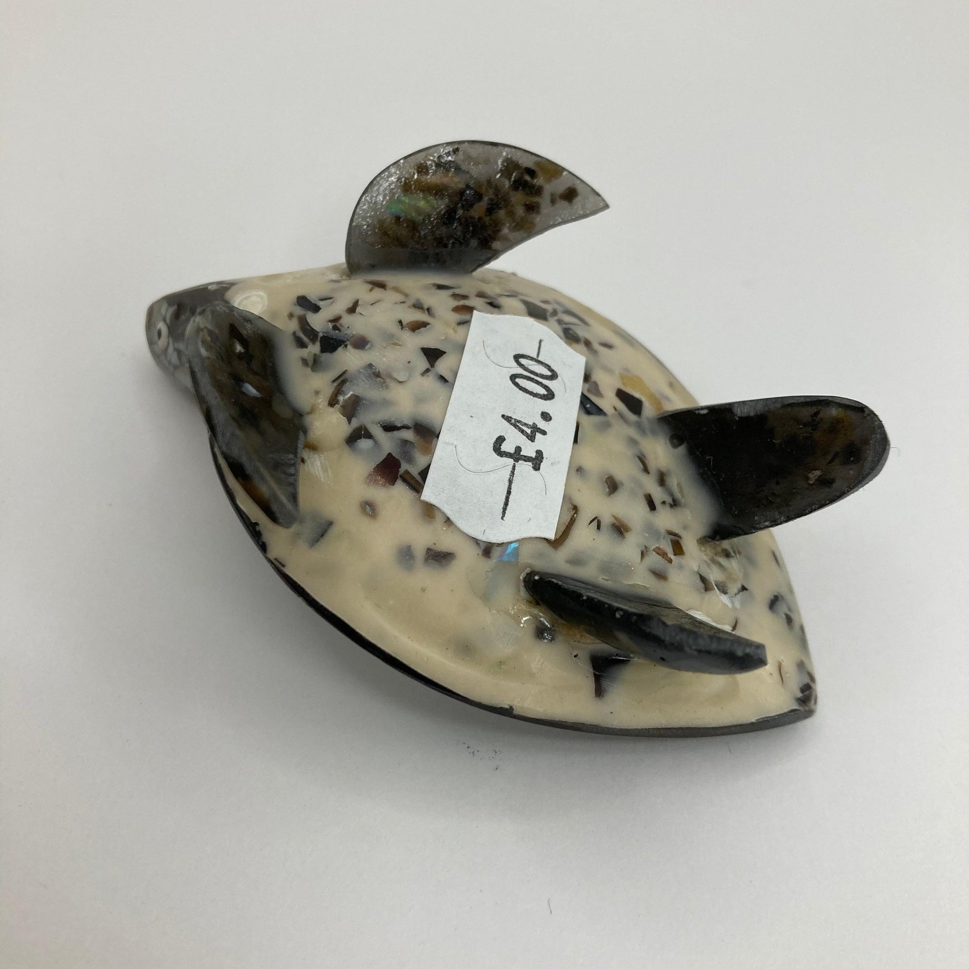 Shell Turtle: Various colours - The Coast Office