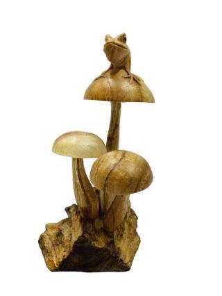 Carved Frog on Mushrooms - The Coast Office