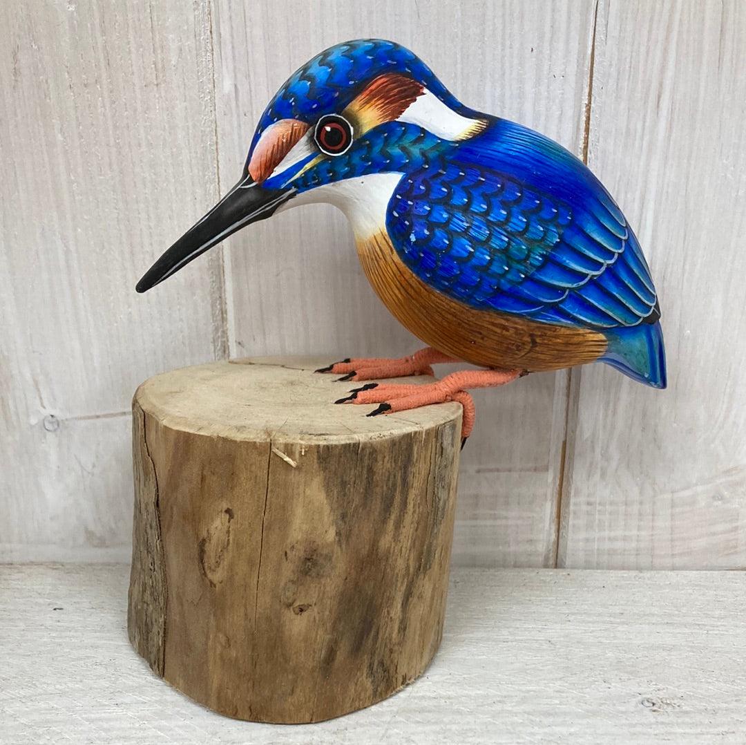 Kingfisher - The Coast Office