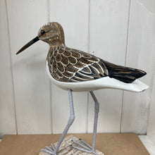 Load image into Gallery viewer, Sandpiper Walking
