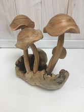 Load image into Gallery viewer, Curly Cap Mushrooms - The Coast Office
