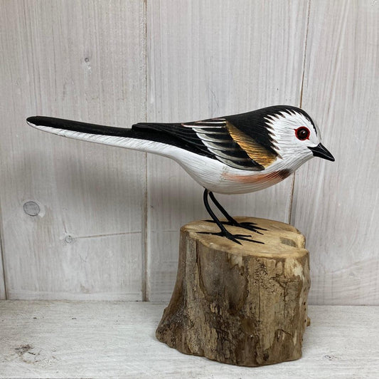 Long Tailed Tit - The Coast Office