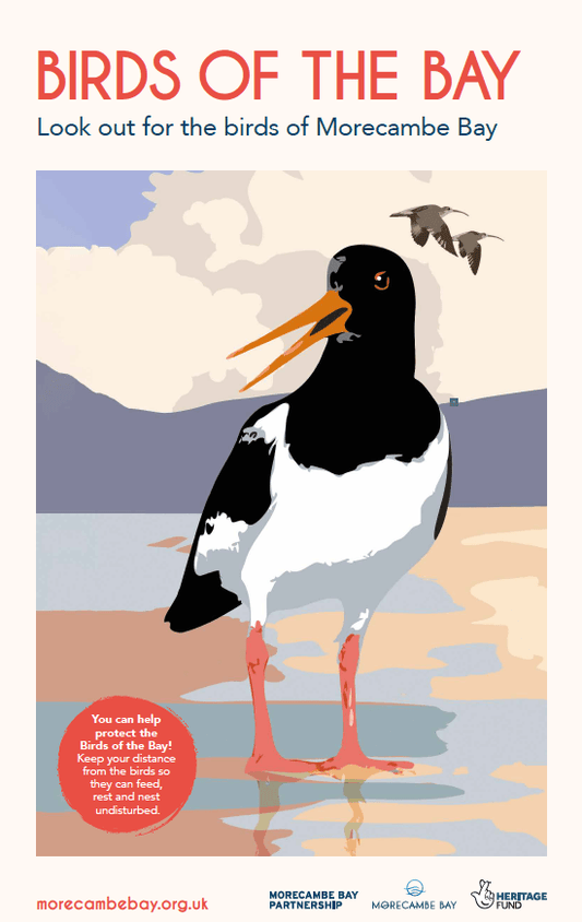 Birds of the Bay Tea-Towel - The Coast Office
