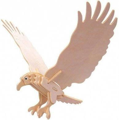 Hawk - The Coast Office