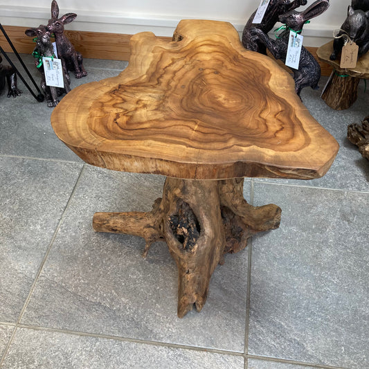 Mushroom Teak Root Side or Lamp Table
