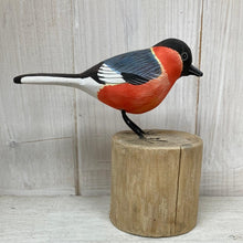 Load image into Gallery viewer, Bullfinch - The Coast Office
