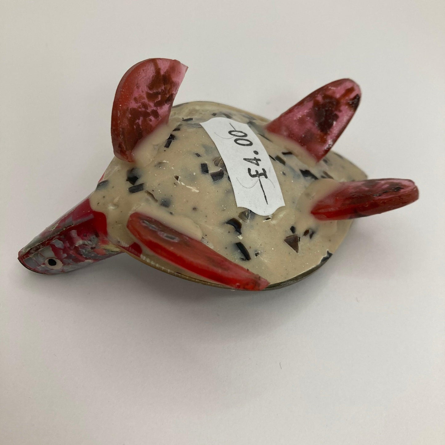 Shell Turtle: Various colours - The Coast Office