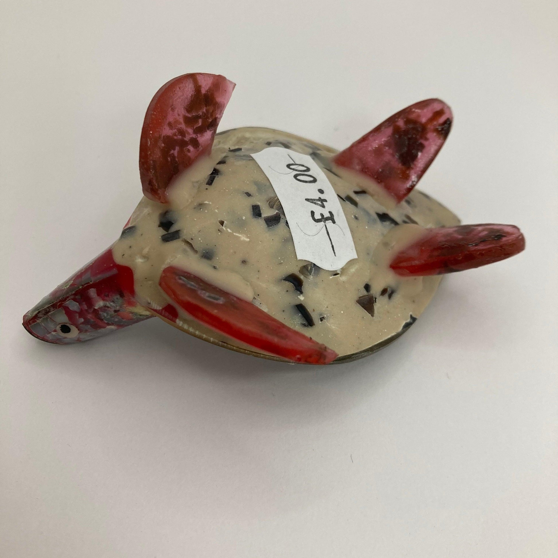 Shell Turtle: Various colours - The Coast Office