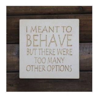 I Meant To Behave - The Coast Office