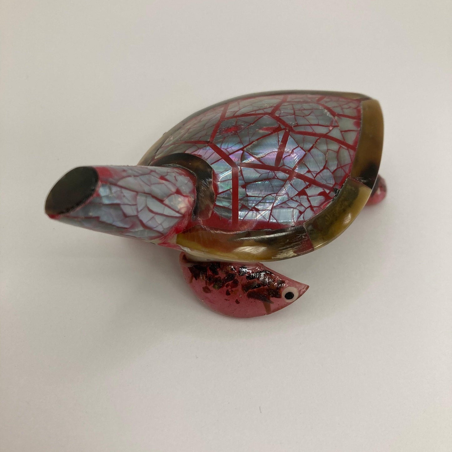 Shell Turtle: Various colours - The Coast Office