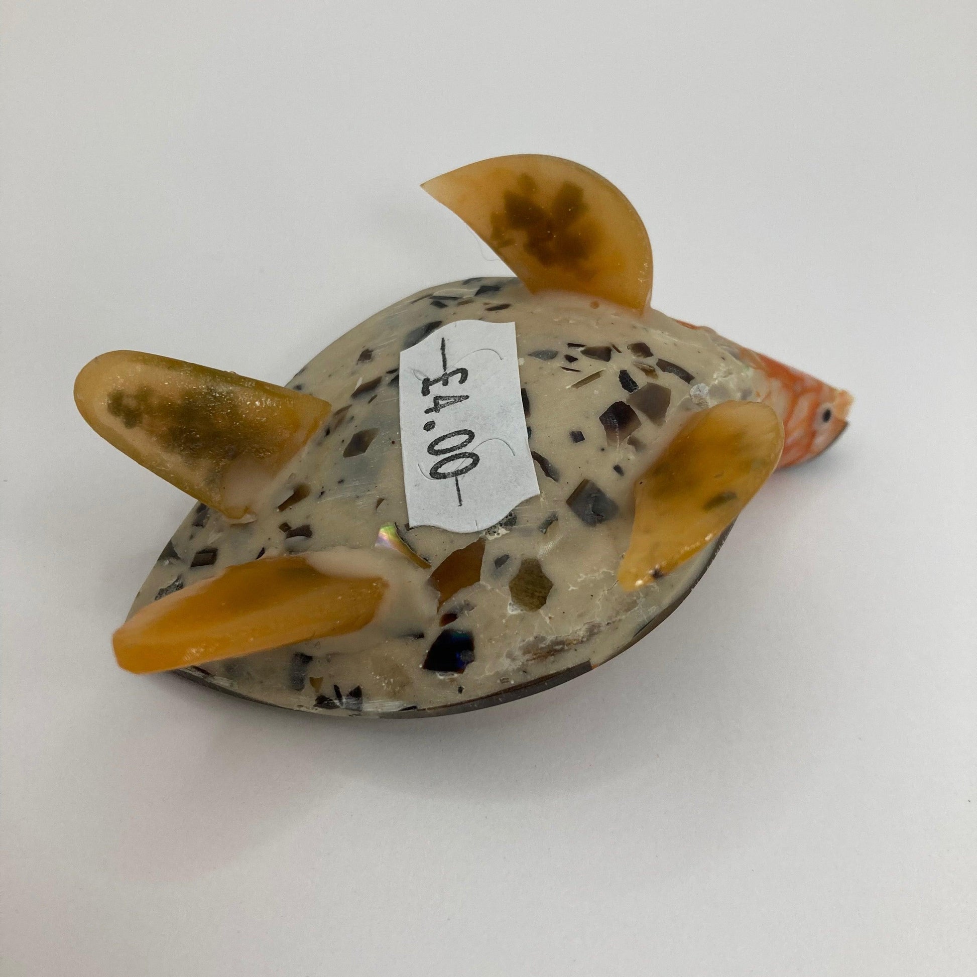 Shell Turtle: Various colours - The Coast Office