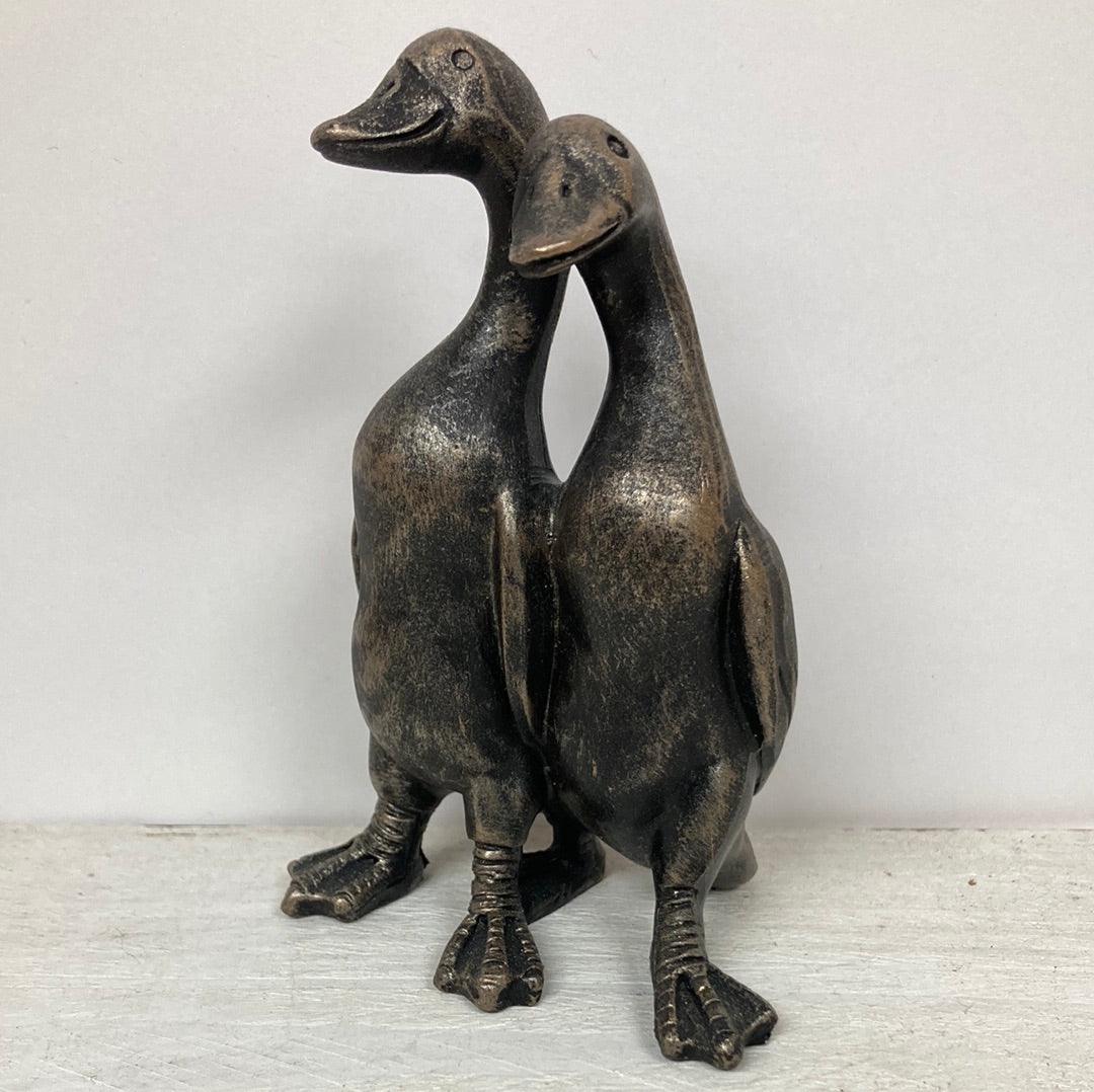 Daft Ducks - The Coast Office