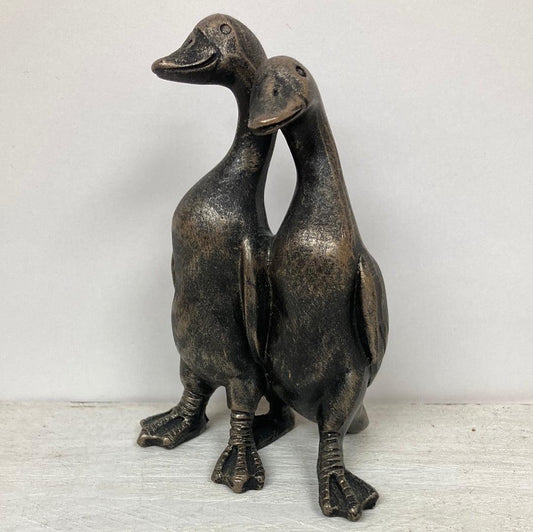 Daft Ducks - The Coast Office