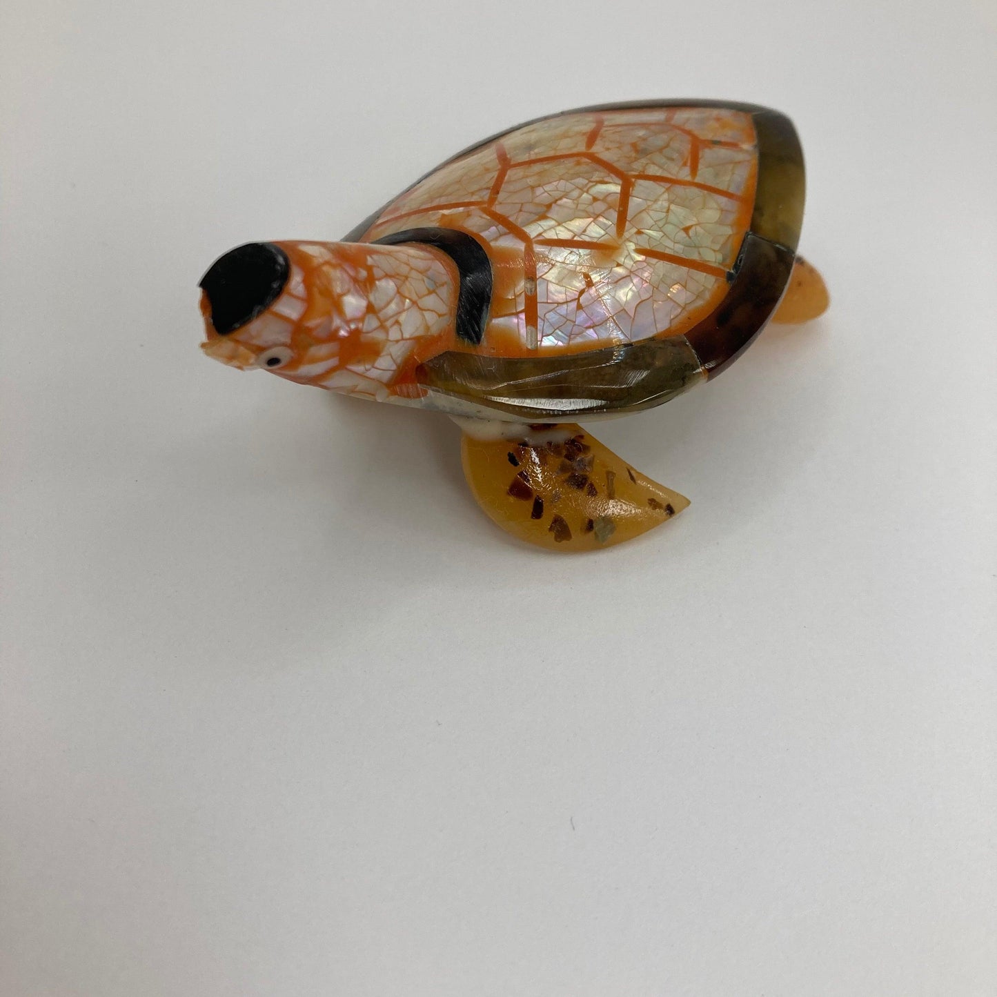Shell Turtle: Various colours - The Coast Office