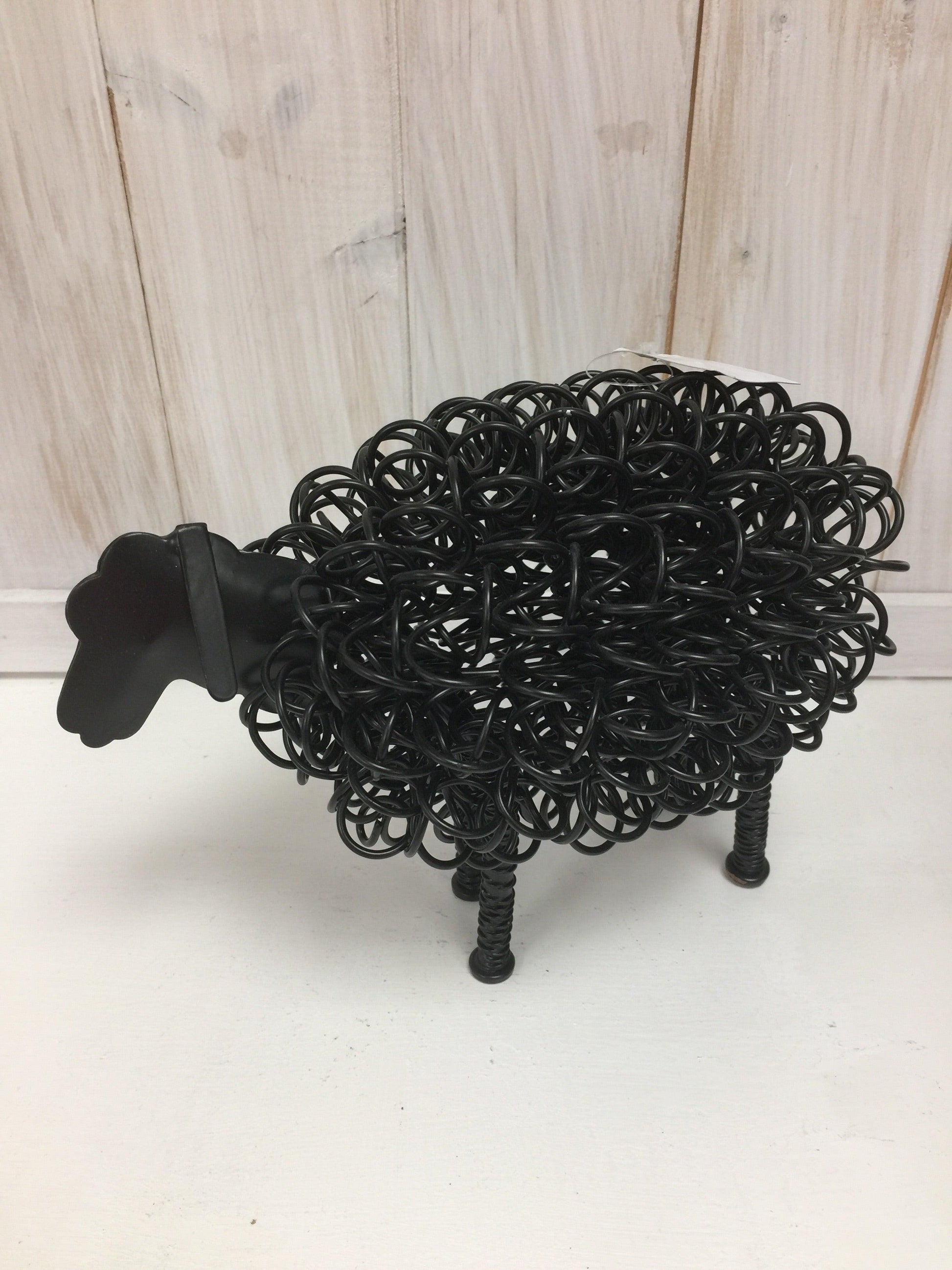 Wiggle Sheep - The Coast Office