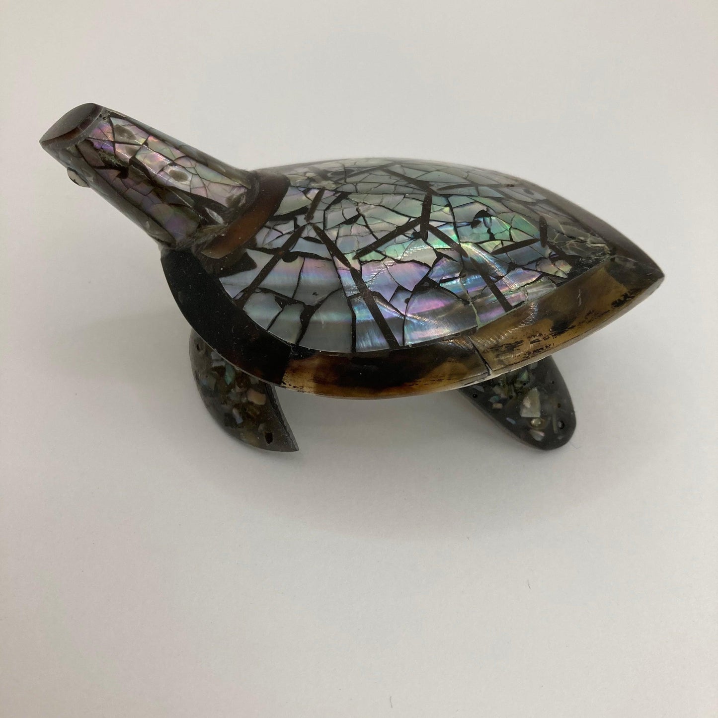 Shell Turtle: Various colours - The Coast Office