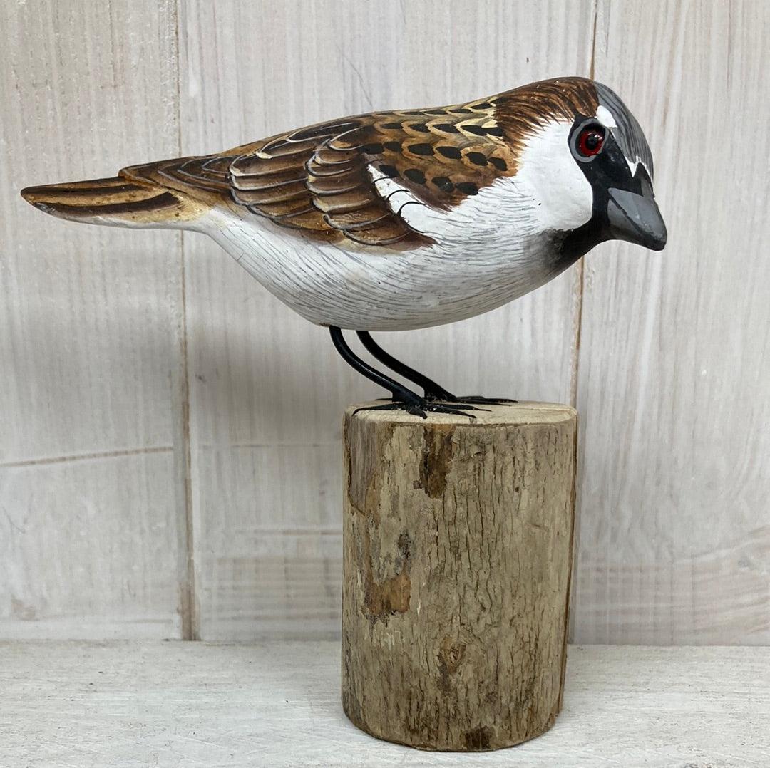 Sparrow - The Coast Office