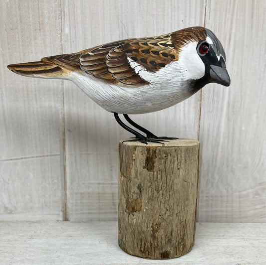 Sparrow - The Coast Office